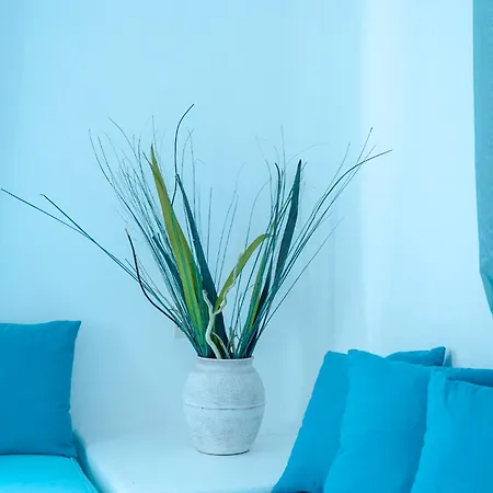 Casa De Blue *